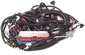LS1 Picture