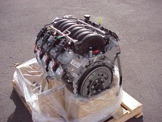 LS2 Picture